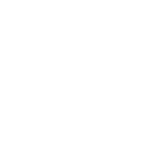 Instituto Otovida